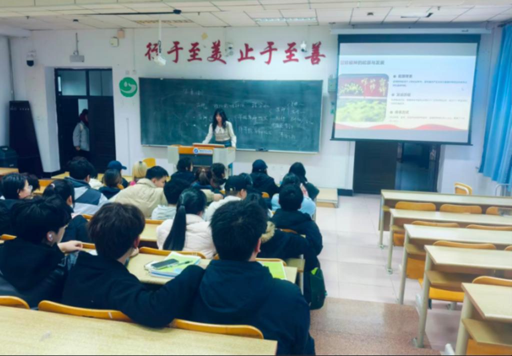 12CCD